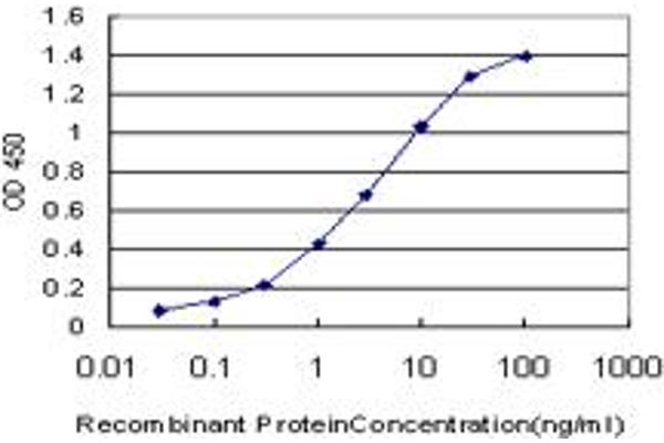 anti-Non-Metastatic Cells 1, Protein (NM23A) Expressed in (NME1) (AA 43-152) antibody