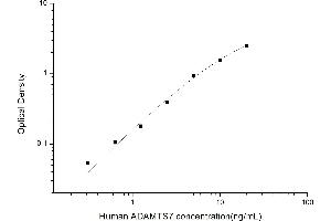 ADAM Metallopeptidase with Thrombospondin Type 1 Motif, 7 (ADAMTS7) ELISA Kit