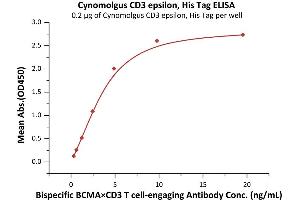 Immobilized Cynomolgus CD3 epsilon, His Tag (ABIN2180775,ABIN2180774) at 2 μg/mL (100 μL/well) can bind Bispecific BCMAxCD3 T cing Antibody  with a linear range of 0.