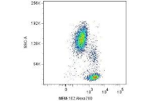 Image no. 2 for anti-CD48 (CD48) antibody (FITC) (ABIN94159)