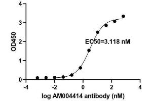 SARS-CoV-2 Spike Antibody (clone AM004414) tested by ELISA.