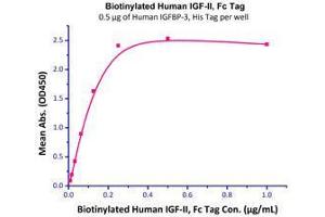 Immobilized Human IGFBP-3, His Tag (Cat# IG3-H5229) at 5 μg/mL (100 μl/well) can bind Biotinylated Human IGF-II, Fc Tag (Cat# IG2-H82F9) with a linear range of 0.