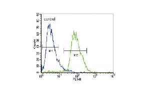 Image no. 2 for anti-Calcium Channel, Voltage-Dependent, alpha 2/delta Subunit 3 (CACNA2D3) antibody (ABIN2158020)