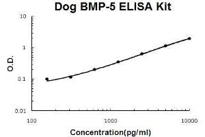 Image no. 1 for Bone Morphogenetic Protein 5 (BMP5) ELISA Kit (ABIN5510525)