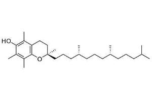 Image no. 1 for Vitamin E peptide (Ovalbumin) (ABIN5666413)