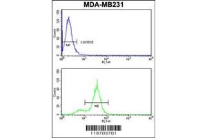 Flow Cytometry (FACS) image for anti-Carboxypeptidase N Subunit 2 (CPN2) antibody (ABIN2158352)