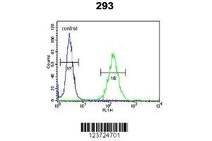 Image no. 3 for anti-DAZ Interacting Protein 1 (DZIP1) (AA 568-596) antibody (ABIN652872)
