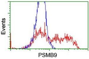 Image no. 4 for anti-Proteasome (Prosome, Macropain) Subunit, beta Type, 9 (Large Multifunctional Peptidase 2) (PSMB9) (AA 21-219) antibody (ABIN1491192)