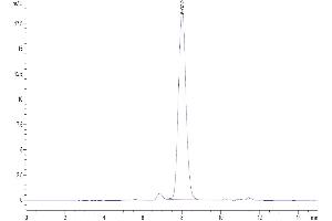 The purity of Biotinylated Human CTLA4 is greater than 95 % as determined by SEC-HPLC.