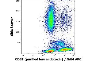 Image no. 1 for anti-CD81 (CD81) antibody (ABIN4888503)