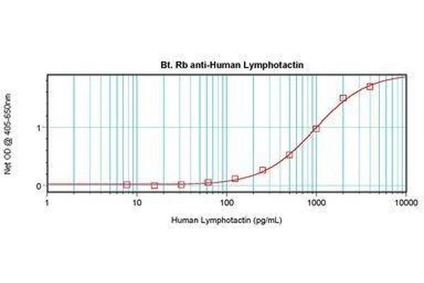XCL1 Antikörper  (Biotin)