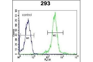 LOC552889 Antibody (Center) (ABIN654014 and ABIN2843940) flow cytometric analysis of 293 cells (right histogram) compared to a negative control cell (left histogram).