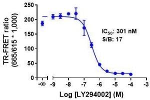 Image no. 1 for Phospho-Ribosomal Protein S6 (S235/236) TR-FRET Cellular Assay Kit (ABIN6938972)