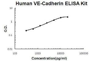 Image no. 1 for Cadherin 5 (CDH5) ELISA Kit (ABIN2859329)