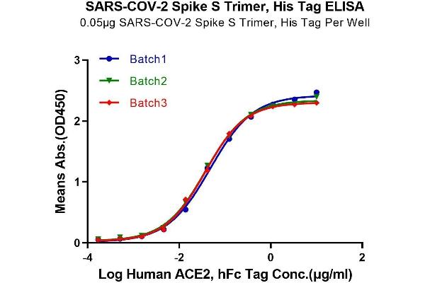 SARS-CoV-2 Spike Protein (Trimer) (His-Avi Tag)