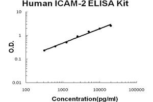 Image no. 1 for Intercellular Adhesion Molecule 2 (ICAM2) ELISA Kit (ABIN6719803)