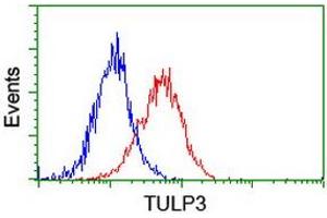 Image no. 1 for anti-Tubby Like Protein 3 (TULP3) antibody (ABIN2734600)