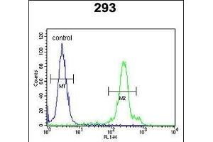 ERMN antibody  (AA 113-141)