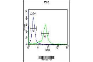 Image no. 3 for anti-BTB (POZ) Domain Containing 1 (BTBD1) (AA 295-322) antibody (ABIN391491)