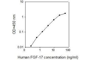 Image no. 1 for Fibroblast Growth Factor 17 (FGF17) ELISA Kit (ABIN2703008)