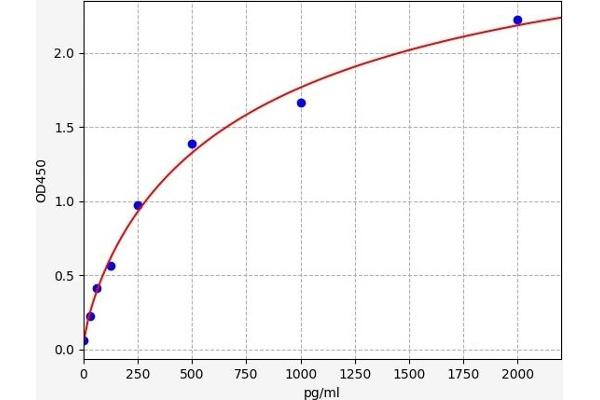 CXCR1 ELISA Kit