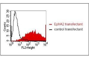 anti-EPH Receptor A2 (EPHA2) antibody