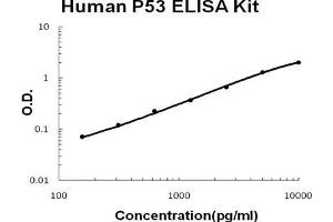 Image no. 1 for Tumor Protein P53 (TP53) ELISA Kit (ABIN921118)