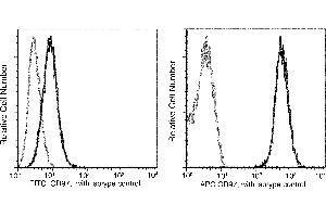 Image no. 2 for anti-CD97 (CD97) (AA 1-398) antibody (FITC) (ABIN1998647)