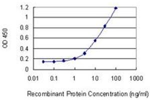 Image no. 1 for anti-Protein Kinase C, delta Binding Protein (PRKCDBP) (AA 161-261) antibody (ABIN949794)