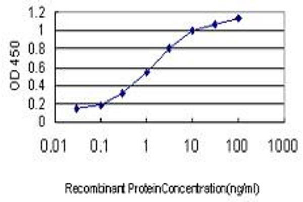 anti-Polymerase (RNA) II (DNA Directed) Polypeptide I, 14.5kDa (POLR2I) (AA 26-125) antibody