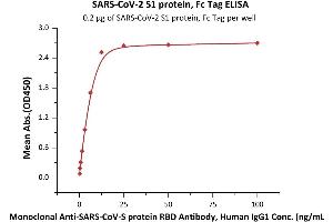 Image no. 1 for SARS-CoV-2 Spike S1 protein (Fc Tag) (ABIN6952624)