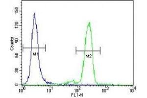 PML antibody flow cytometric analysis of HeLa cells (right histogram) compared to a negative control (left histogram).