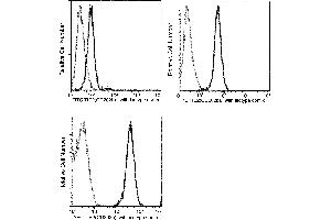 Image no. 2 for anti-TEK Tyrosine Kinase, Endothelial (TEK) (AA 1-745) antibody (PE) (ABIN1997303)