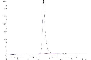 Size-exclusion chromatography-High Pressure Liquid Chromatography (SEC-HPLC) image for SIRP AlphaV2 protein (His tag) (ABIN7275653)