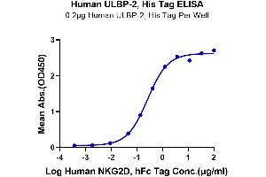ULBP2 Protein (His-Avi Tag)
