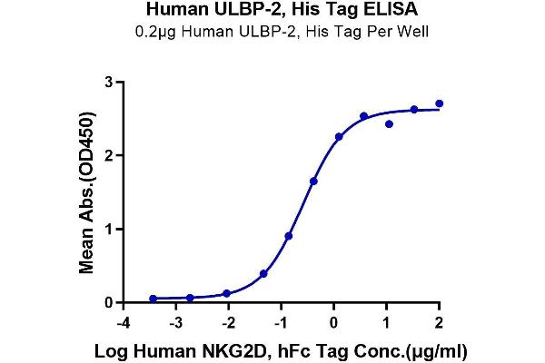 ULBP2 Protein (His-Avi Tag)