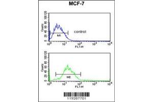 Flow Cytometry (FACS) image for anti-Endonuclease G (ENDOG) antibody (ABIN2158695)