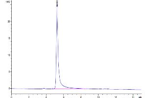 Size-exclusion chromatography-High Pressure Liquid Chromatography (SEC-HPLC) image for Claudin 18.2 (Active) protein-VLP (Biotin) (ABIN7448161)