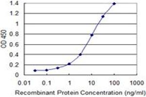 Detection limit for recombinant GST tagged BCL2L10 is 0.