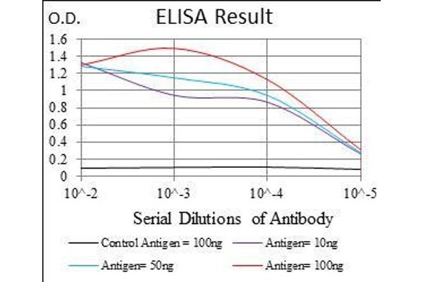 Caspase 7 anticorps  (AA 29-198)