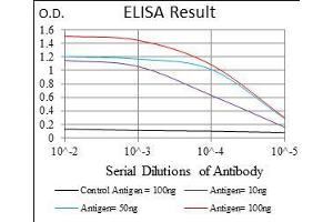 Image no. 2 for anti-Interleukin 3 Receptor, alpha (Low Affinity) (IL3RA) (AA 200-305) antibody (ABIN1724866)