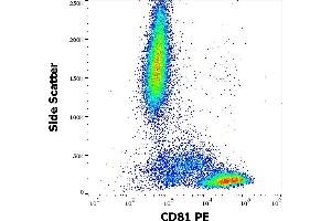 Image no. 1 for anti-CD81 (CD81) antibody (PE) (ABIN343728)