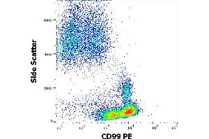 Flow cytometry surface staining pattern of human peripheral whole blood stained using anti-human CD99 (3B2/TA8) PE antibody (10 μL reagent / 100 μL of peripheral whole blood).