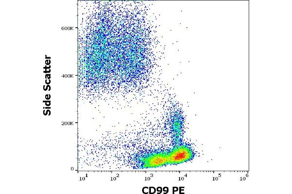 anti-CD99 (CD99) antibody (PE)