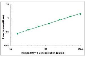 Image no. 1 for Bone Morphogenetic Protein 10 (BMP10) ELISA Kit (ABIN5526781)