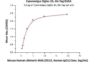 Image no. 1 for Sialic Acid Binding Ig-Like Lectin 15 (SIGLEC15) (AA 20-263) protein (His tag) (ABIN6809873)