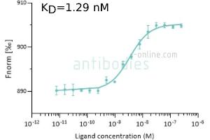 Image no. 7 for anti-SARS-CoV-2 Spike S1 (RBD) antibody (ABIN6952546)