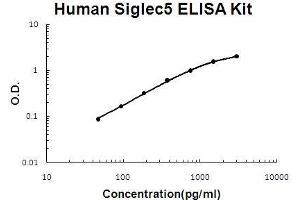Image no. 1 for Sialic Acid Binding Ig-Like Lectin 5 (SIGLEC5) ELISA Kit (ABIN5510738)
