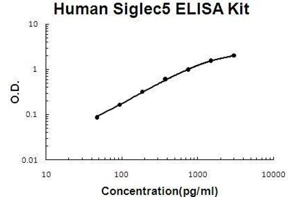 Sialic Acid Binding Ig-Like Lectin 5 (SIGLEC5) ELISA Kit