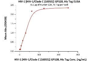 Immobilized Human CD4, Fc Tag (ABIN2180789,ABIN2180788) at 2 μg/mL (100 μL/well) can bind HIV-1 [HIV-1/Clade C (16055)] GP120, His Tag (4) with a linear range of 0.
